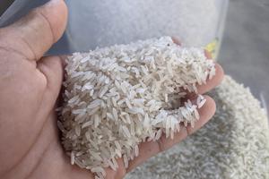 Giá gạo nóng trở lại, Việt Nam có thể xuất khẩu xấp xỉ 8 triệu tấn