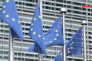 EU siết chặt các quy định về quảng cáo chính trị trực tuyến