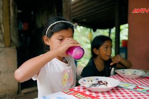  FAO: Tỷ lệ đói nghèo tăng mạnh ở khu vực Mỹ Latinh