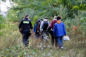 Số ca nhập cảnh bất hợp pháp vào Đức giảm