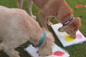 Những chú chó vẽ tranh gây quỹ cứu hộ động vật ở Anh