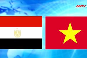 Tương lai tươi sáng trong quan hệ Việt Nam - Ai Cập