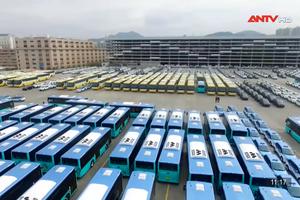 Cuộc cách mạng xe bus điện ở Trung Quốc 