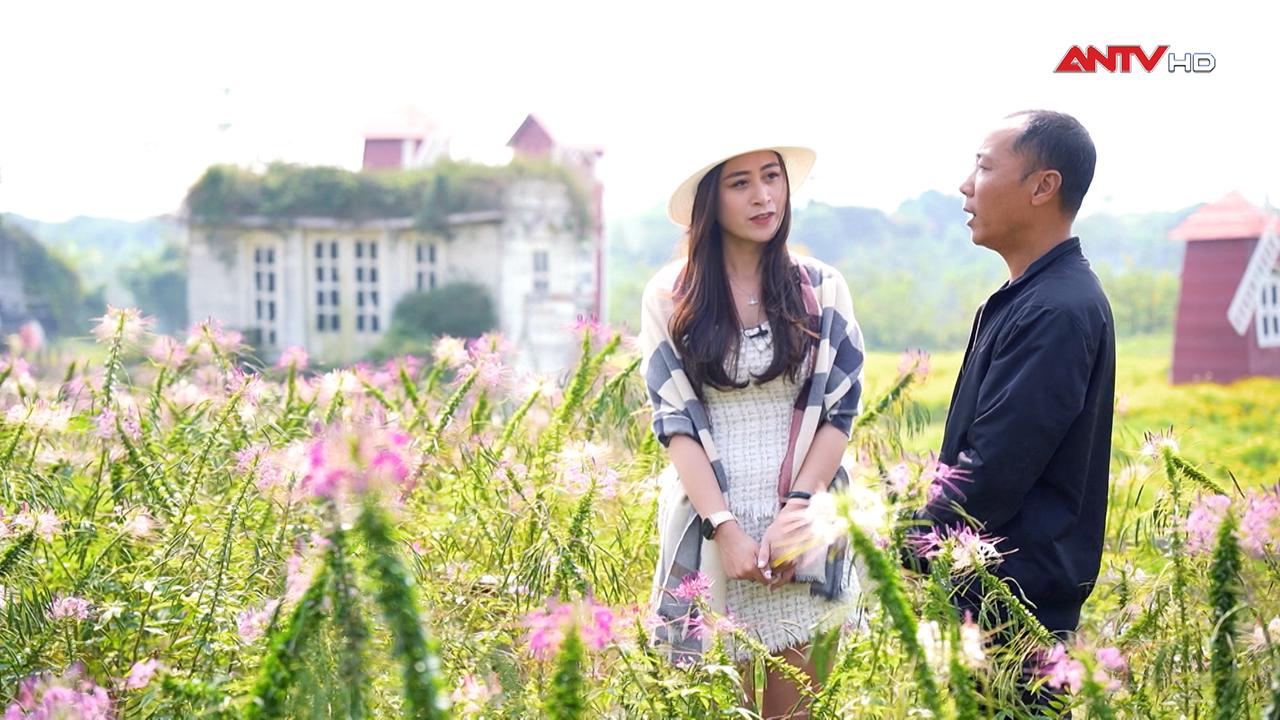 Thảo nguyên hoa giữa lòng Hà Nội 