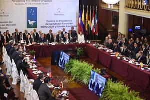 Hội nghị thượng đỉnh MERCOSUR thảo luận nhiều vấn đề quan trọng