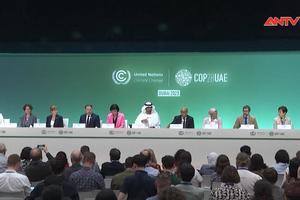 Chủ tịch COP 28 kêu gọi các nước đạt thỏa thuận về nhiên liệu hóa thạch