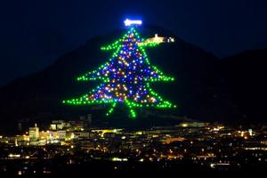 Italy thắp sáng cây thông Noel lớn nhất thế giới