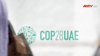 COP28: Vẫn chưa có thỏa thuận kích hoạt thị trường giao dịch carbon