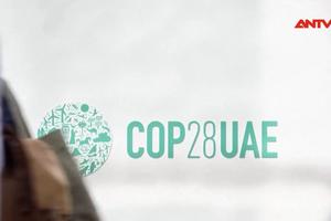 COP28: Vẫn chưa có thỏa thuận kích hoạt thị trường giao dịch carbon