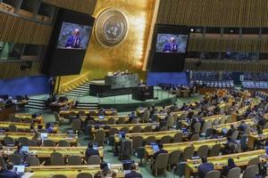 Đại Hội đồng Liên hợp quốc thông qua nghị quyết về phòng chống ma túy tổng hợp