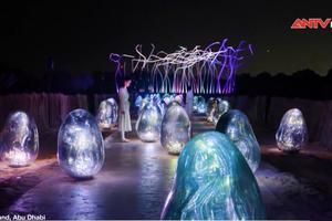 Công viên ánh sáng “Đảo cây đước” ở UAE