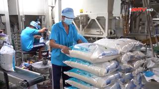 Xuất khẩu gạo đạt kỷ lục gần 4,8 tỷ USD