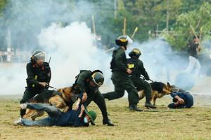 Cảnh sát Gìn giữ hòa bình trình diễn dẹp bạo loạn, giải cứu con tin