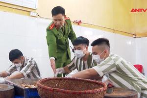 Việt Nam chủ động, tích cực trong triển khai thực thi công ước chống tra tấn