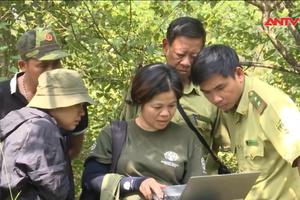 Tránh xung đột với voi rừng ở vùng đệm Vườn quốc gia Cát Tiên