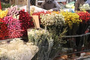 Chợ hoa đêm Quảng Bá nhộn nhịp vụ Tết