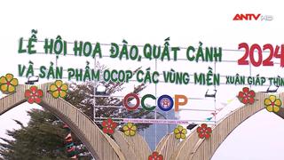 Lễ hội hoa đào, quất cảnh và sản phẩm OCOP