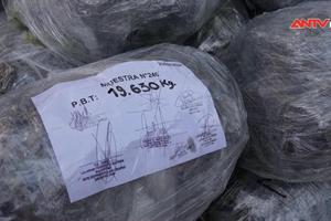 Peru thu giữ 7,2 tấn cocaine