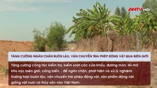 Tăng cường ngăn chặn buôn lậu, vận chuyển trái phép động vật qua biên giới