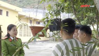 Ngày về
