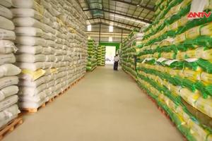 Việt Nam trúng thầu 300.000 tấn gạo xuất sang Indonesia