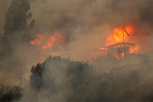 Gia tăng số người thiệt mạng trong thảm họa cháy rừng Chile