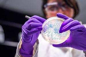Châu Âu đối mặt siêu vi khuẩn kháng thuốc mới