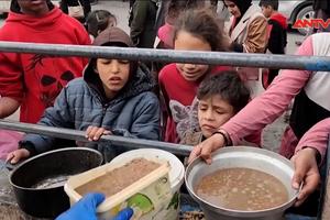 Thiếu lương thực đe dọa tính mạng trẻ em ở Gaza	