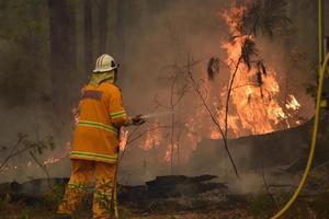 Australia: Nắng nóng cực đoan khiến nguy cơ cháy rừng lan rộng