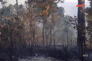 Cháy rừng thông trong khu du lịch hồ Tuyền Lâm ở Đà Lạt