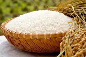 Indonesia thiếu hụt gạo nghiêm trọng