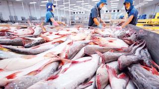 2 tháng đầu năm, xuất khẩu cá tra tăng trưởng dương