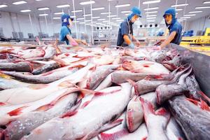 2 tháng đầu năm, xuất khẩu cá tra tăng trưởng dương