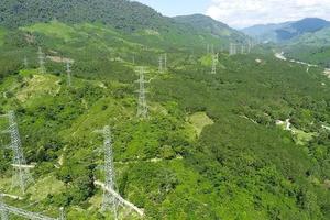 Tạm sử dụng rừng phục vụ thi công dự án lưới điện vì lợi ích quốc gia, công cộng