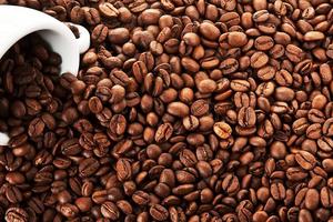Giá cà phê trong nước vẫn đang thiết lập kỷ lục mới