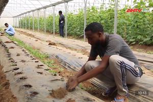 Thế hệ tương lai của ngành nông nghiệp Somalia