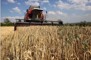 EP nhất trí sơ bộ về hạn chế mới với nông sản Ukraine