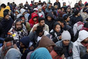 EP phê chuẩn hiệp ước mới về chính sách di cư và tị nạn
