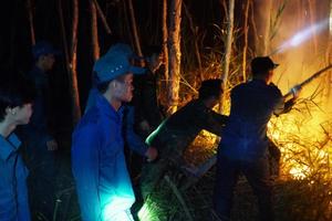 Hơn 600 người trắng đêm chữa cháy rừng tràm