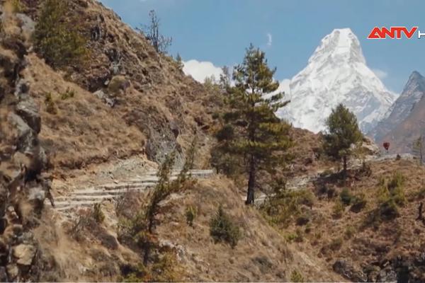 Trồng cây bụi giúp cải thiện đời sống người dân Nepal