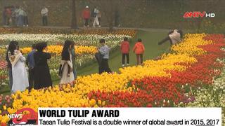 Lễ hội hoa Tulip Taean 2024 ở Hàn Quốc