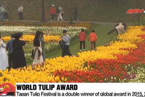 Lễ hội hoa Tulip Taean 2024 ở Hàn Quốc