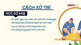 Nắng nóng gay gắt, Bộ Y tế khuyến cáo cách sơ cứu
