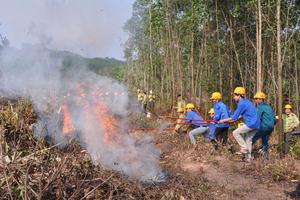 Đẩy mạnh tuyên truyền phòng chống cháy rừng mùa khô