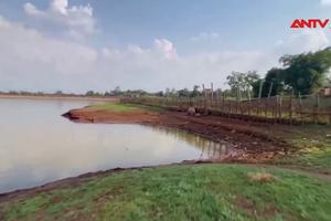 Đắk Lắk: 3 học sinh đuối nước thương tâm trên đường đi học về