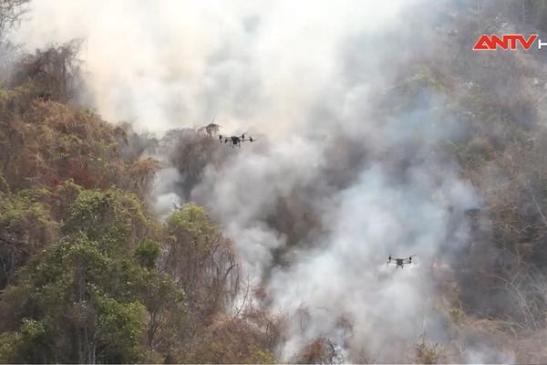 Đã khống chế được hai vụ cháy rừng tại huyện Tri Tôn