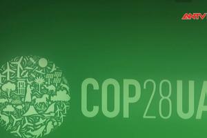G7 tiến hành cuộc họp chiến lược về môi trường và khí hậu