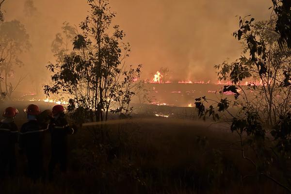 Quảng Bình: Cán bộ, chiến sỹ chữa cháy rừng xuyên đêm