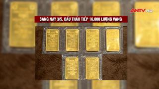 Sáng nay 3/5, đấu thầu tiếp 16.800 lượng vàng