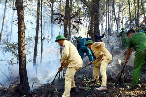 Lực lượng công an căng mình chữa cháy rừng phòng hộ